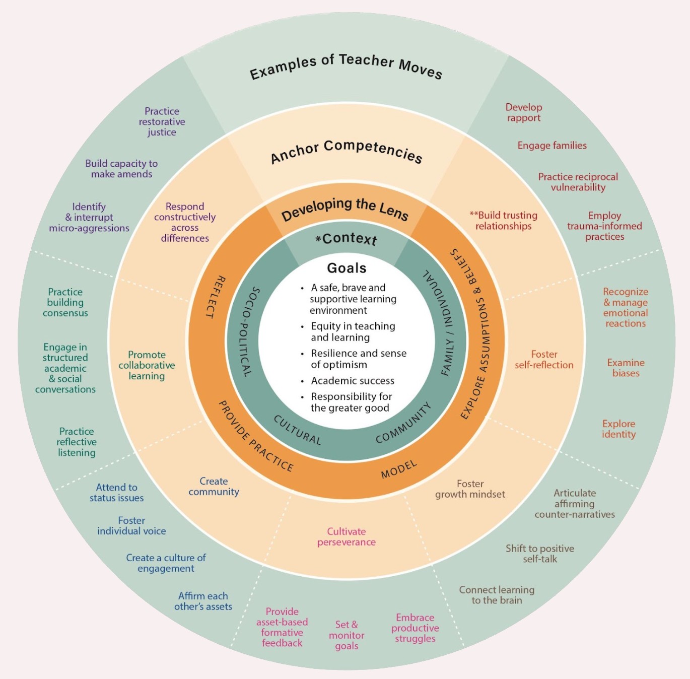 Anchor competencies framework