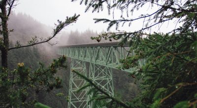CRTWC is Awarded a New Grant from the Oregon Community Foundation